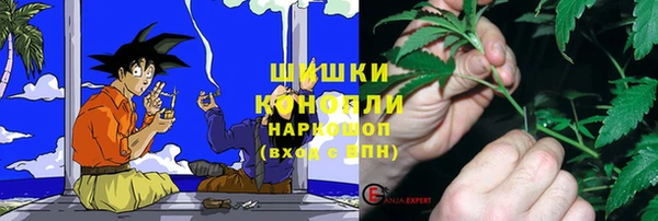 шишки Беломорск