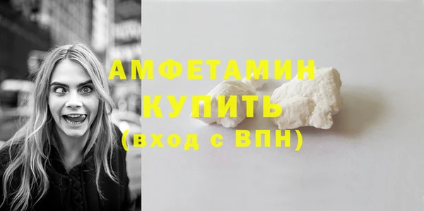 шишки Беломорск