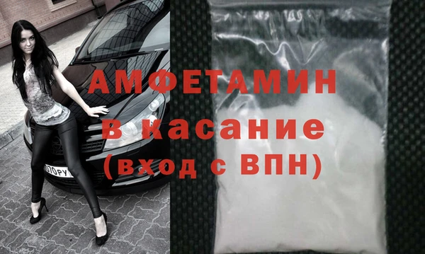 шишки Беломорск