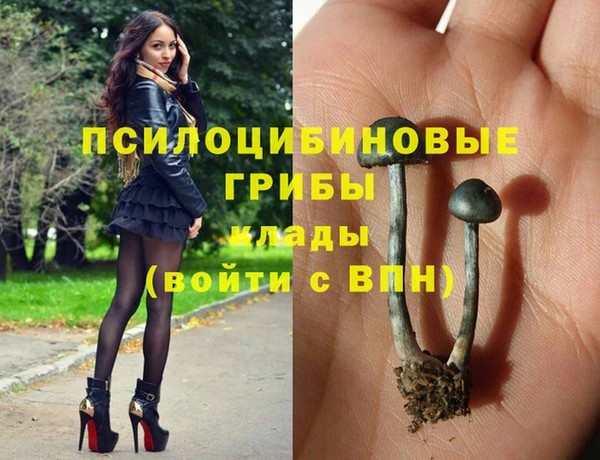 шишки Беломорск