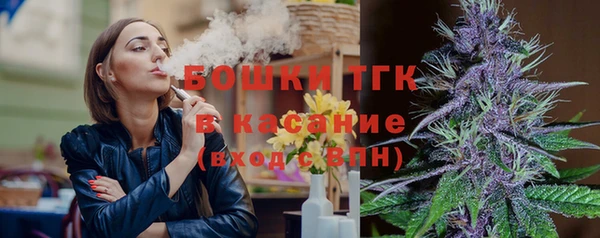 шишки Беломорск