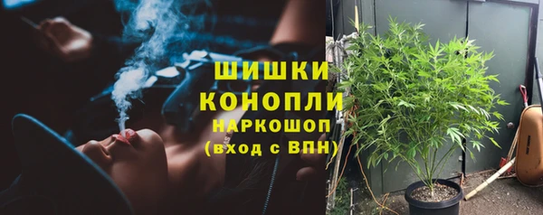 шишки Беломорск
