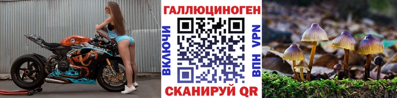 Галлюциногенные грибы Cubensis  Купить закладки  Ахтубинск 
